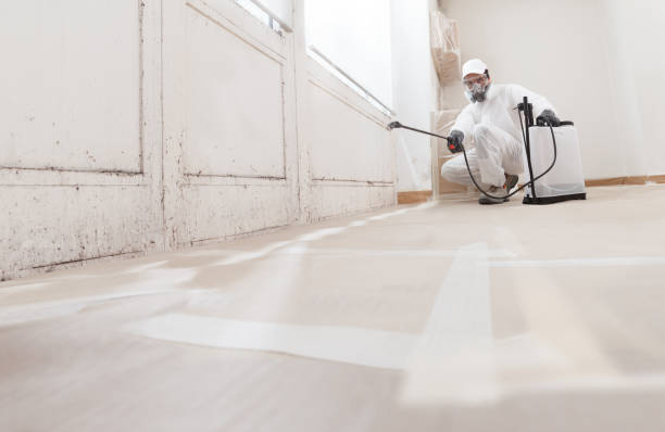 24/7 Emergency Black Mold Remediation experts in Riverdale, NJ